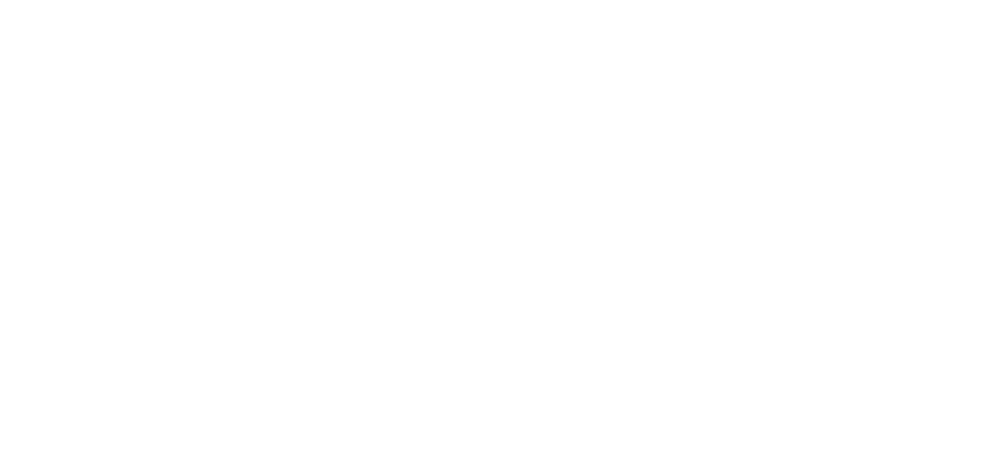 Flowing Sport logo.